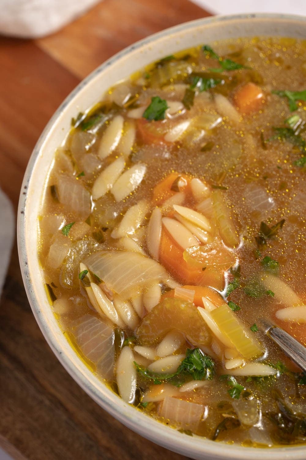 Bowl of Homemade Vegetable Noodle Soup with Orzo and Carrots